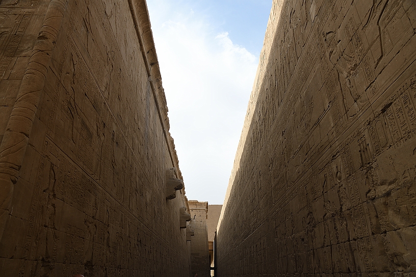 25 MAK_6295.jpg - Alle pareti magnifiche decorazioni che rappresentano scene della vita di Horus e di altre divinità, come Seth.